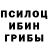 Галлюциногенные грибы ЛСД XEZMENT ILIA