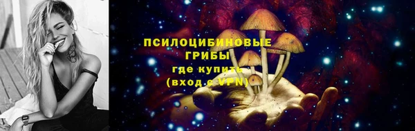 сатива Алексеевка