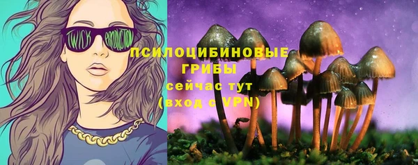 сатива Алексеевка