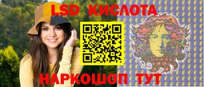 шишки Лесной
