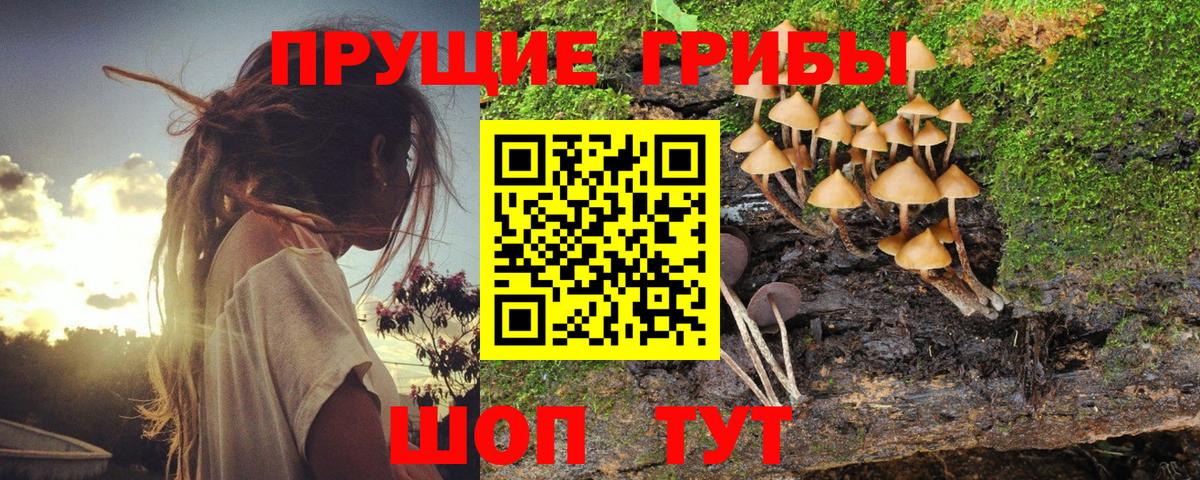 Псилоцибиновые грибы ЛСД  Вход с VPN  Топки 